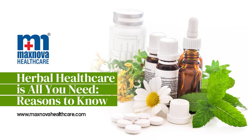 Herbal medicine manufacturers