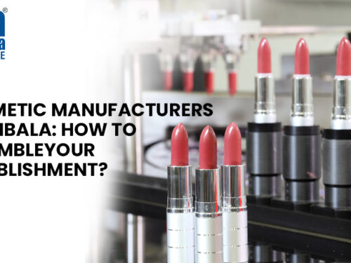 Cosmetic Manufacturers In Ambala: How To Assemble Your Establishment?